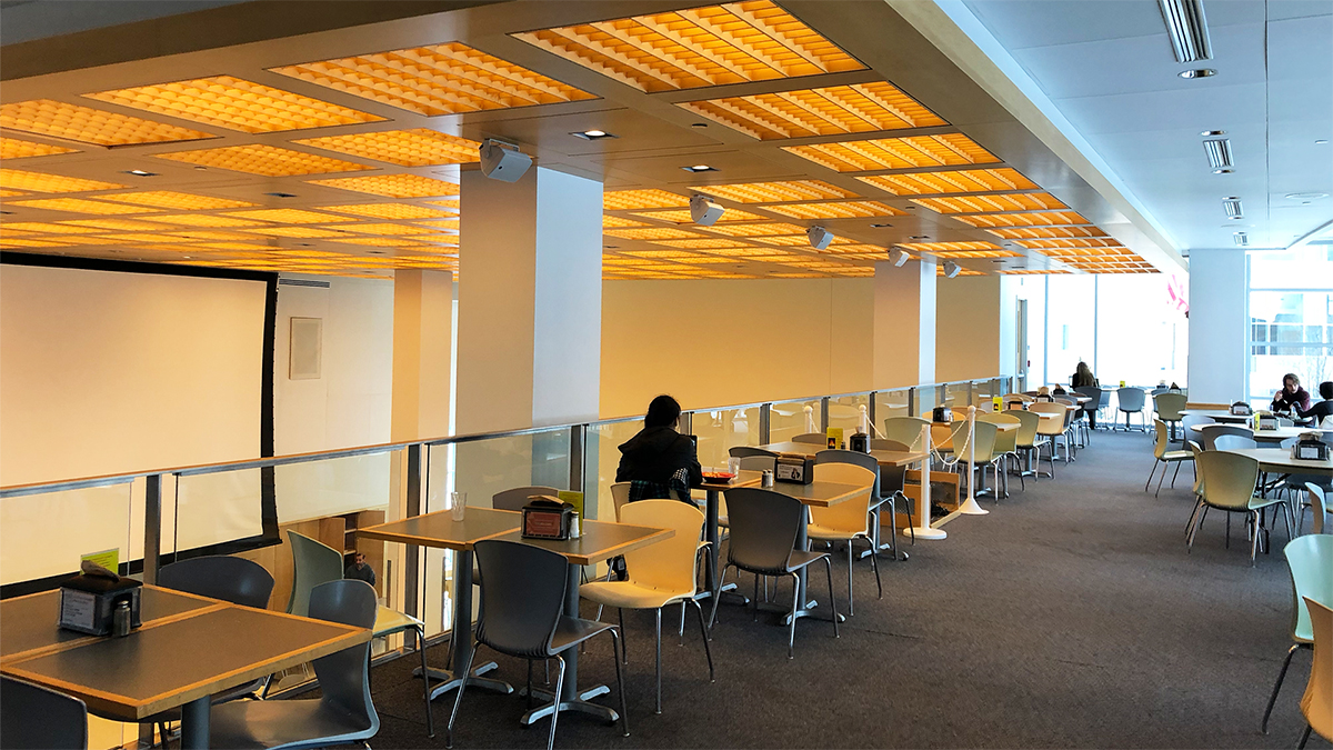 Olin College of Engineering Portfolio