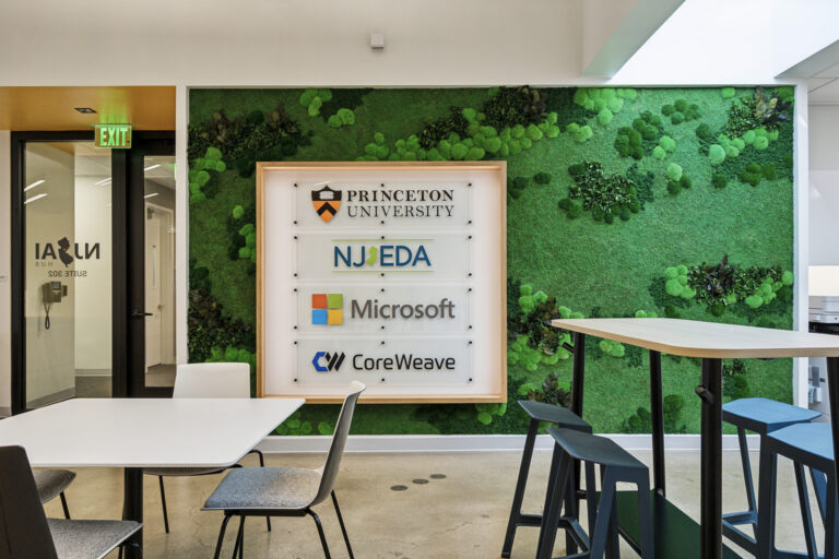 Princeton Ai Hub 25